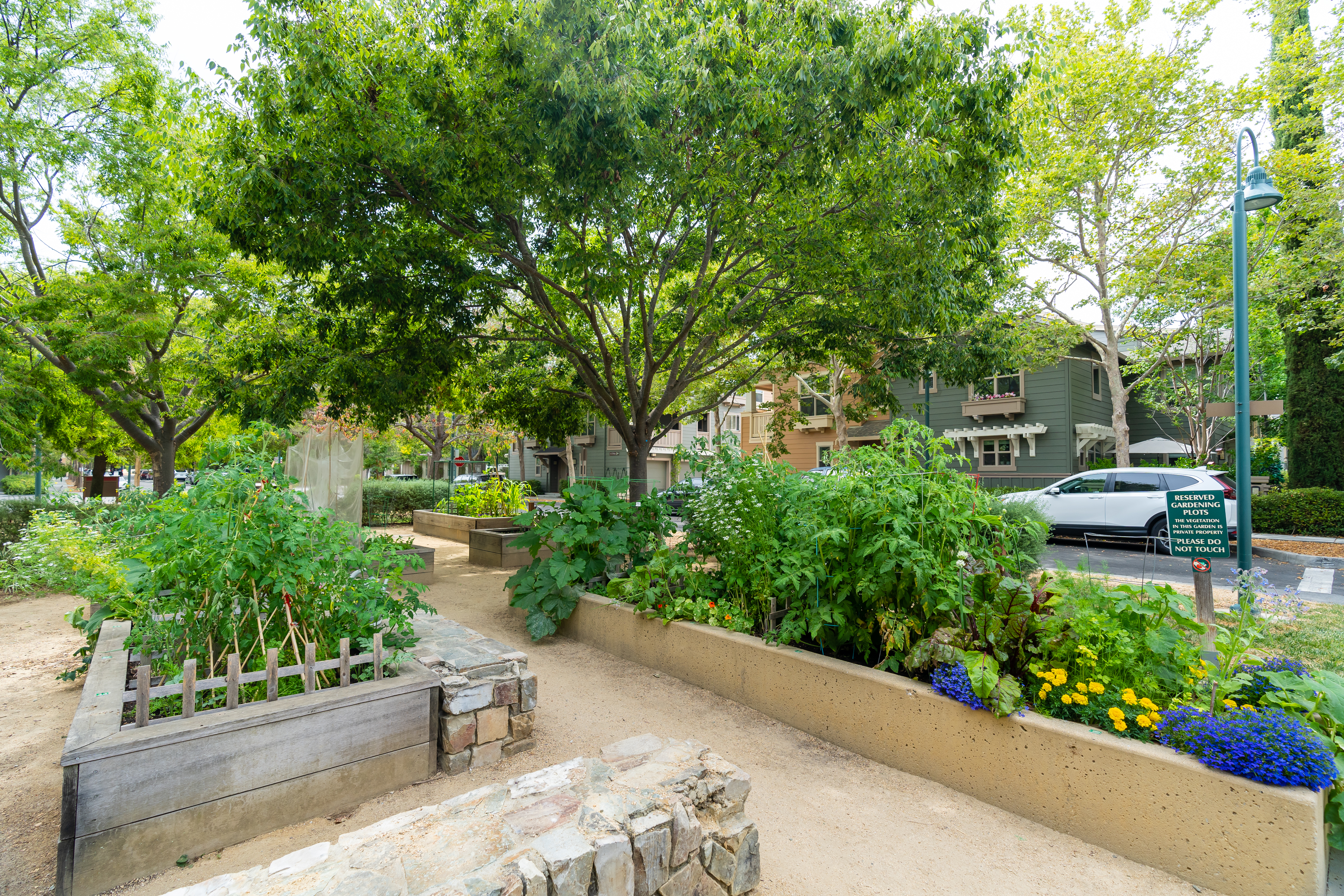 Community Garden at Stanford West Apartments