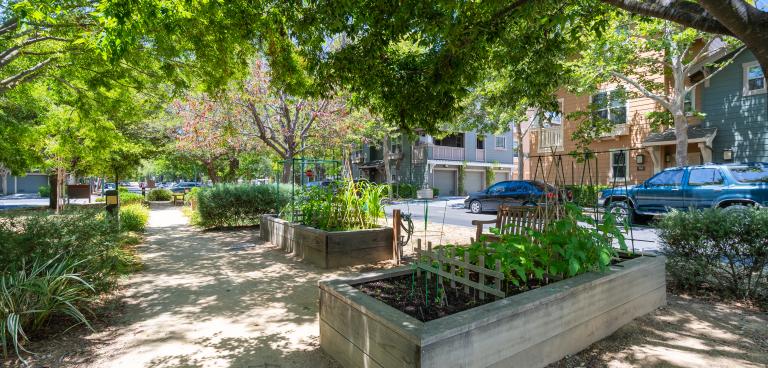 Stanford West Apartments Garden